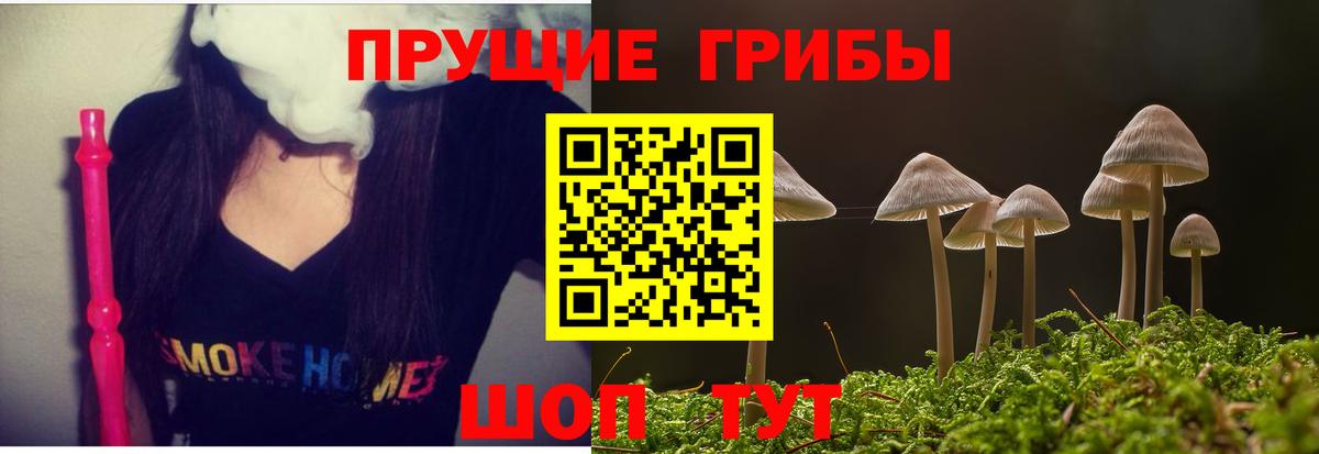 Бийск  Галлюциногенные грибы мухоморы  магазин    Вход с VPN 